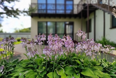 Коттедж до 21 гостя рядом с Туутари 