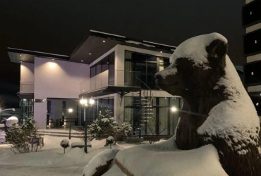 Коттедж 220 м² на участке 15 сот.